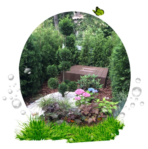 SERVICII | Proiectare, Amenajare, Plantare, Irigatii si Intretinere spatii verzi