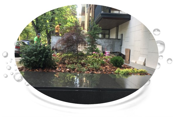 pagina 2.. (600 x 400)