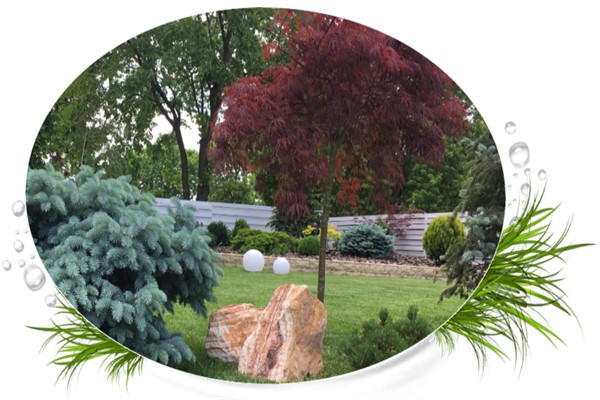 Servicii de proiectare, amenajare si intretinere spatii verzi. Servicii de proiectare, amenajare si intretinere spatii verzi.